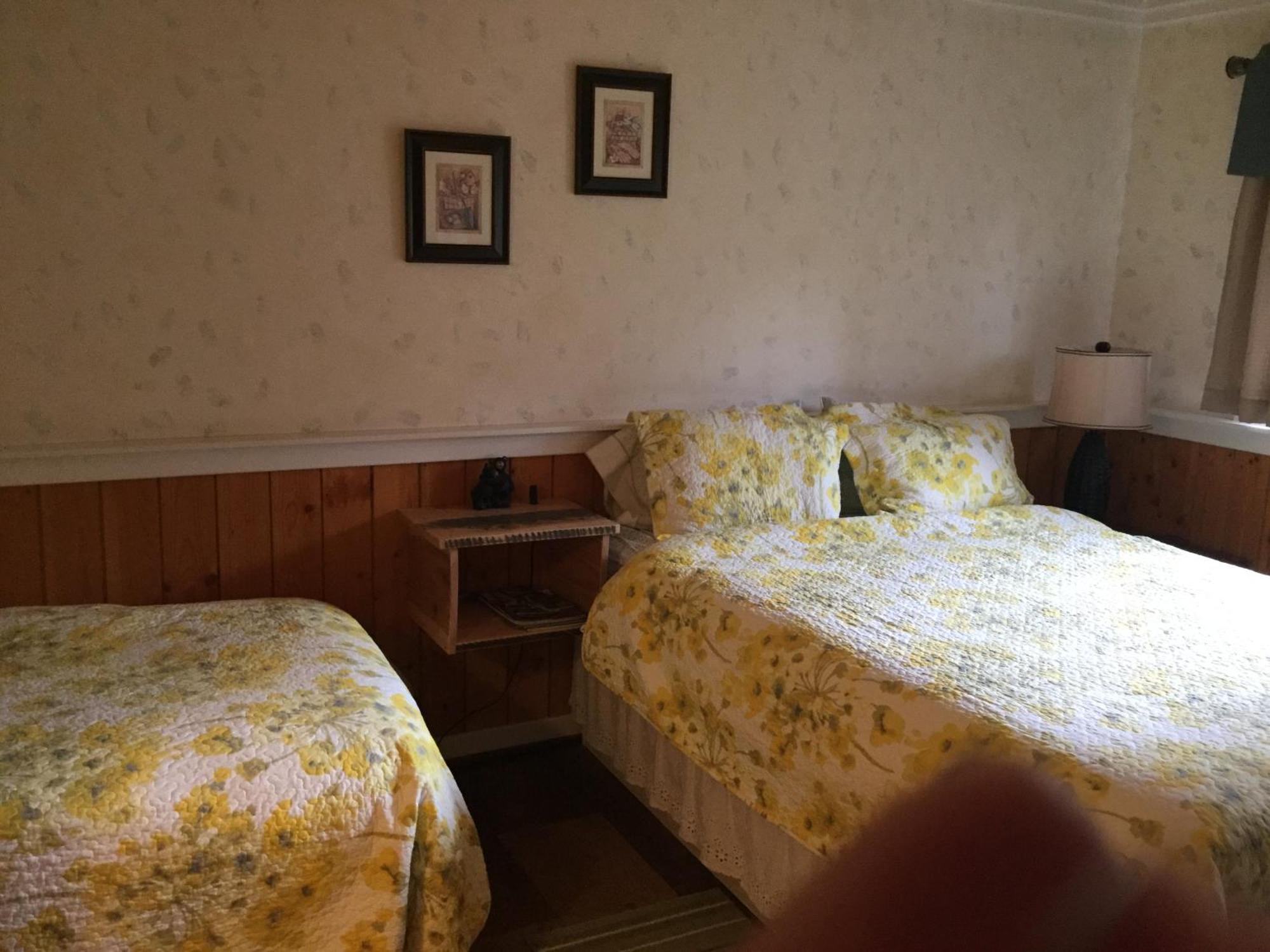 Dream Catcher Inn バルマウント エクステリア 写真