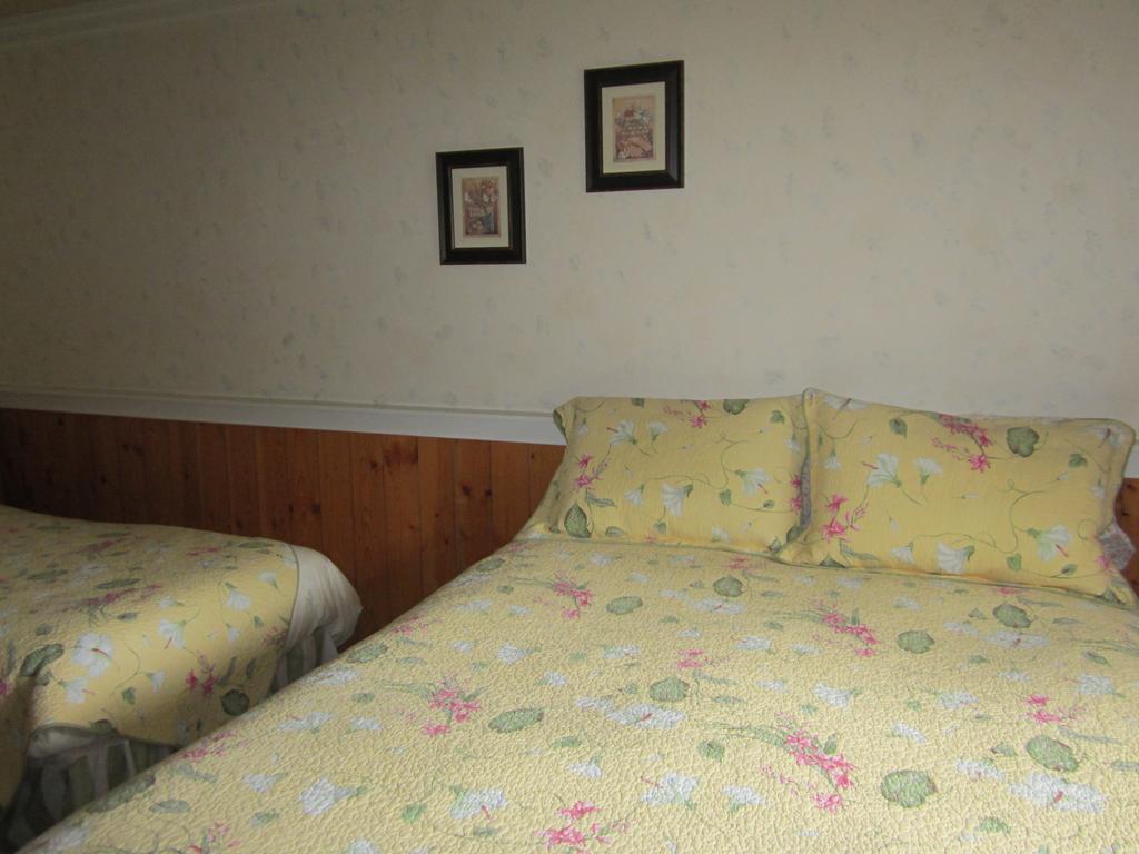 Dream Catcher Inn バルマウント 部屋 写真